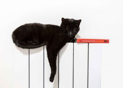 chat noir sur un radiateur