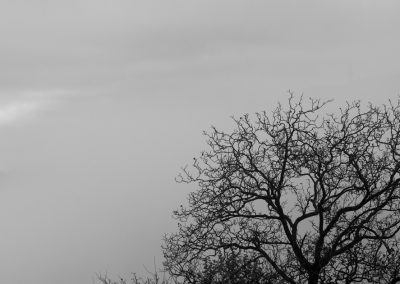 paysage de brume la fée bleue photographie