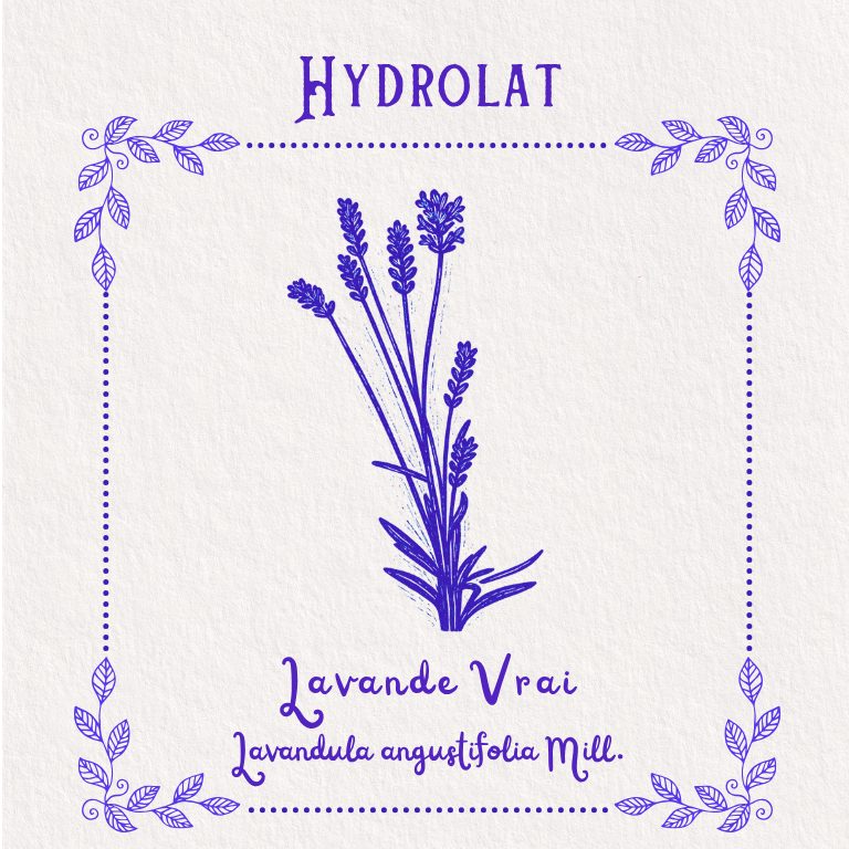 Hydrolat de Lavande Vrai
