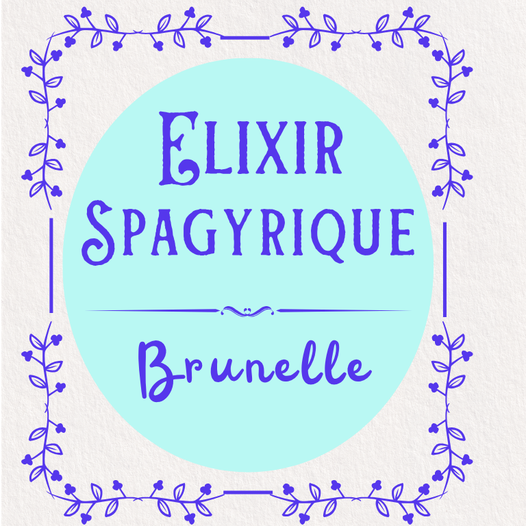 Élixir spagyrique de Brunelle – Image 2