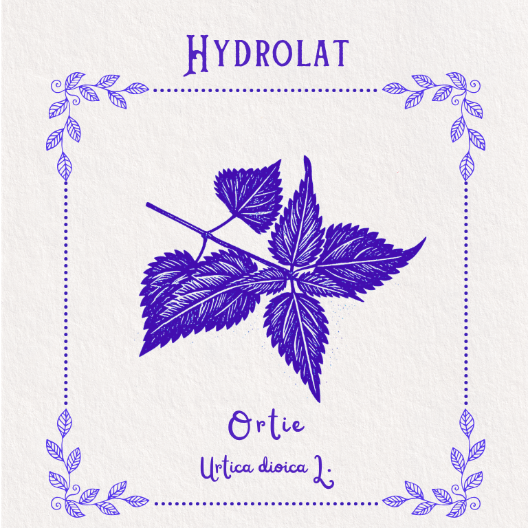Hydrolat d'Ortie