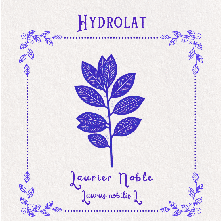 Hydrolat de Laurier Noble